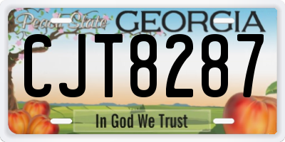 GA license plate CJT8287