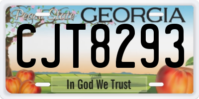 GA license plate CJT8293