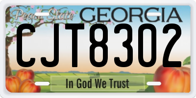 GA license plate CJT8302