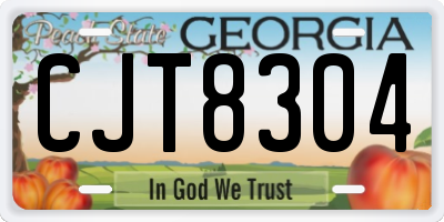 GA license plate CJT8304