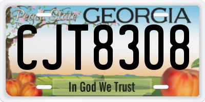 GA license plate CJT8308