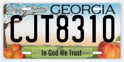 GA license plate CJT8310