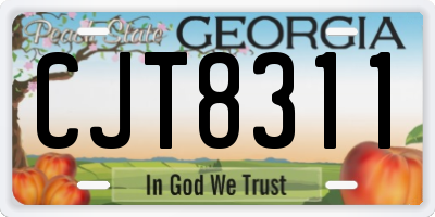 GA license plate CJT8311