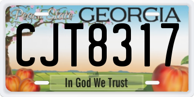 GA license plate CJT8317