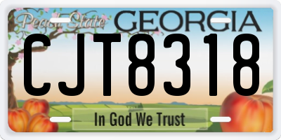GA license plate CJT8318