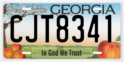 GA license plate CJT8341