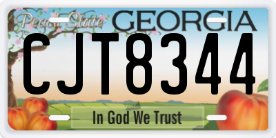 GA license plate CJT8344