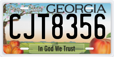 GA license plate CJT8356