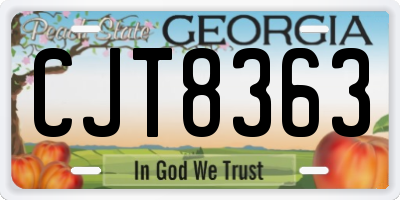 GA license plate CJT8363