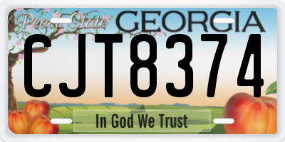 GA license plate CJT8374