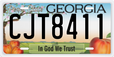 GA license plate CJT8411