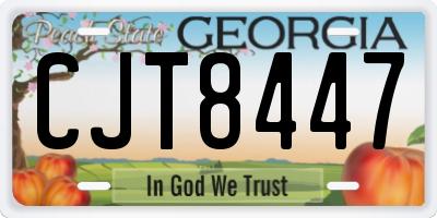 GA license plate CJT8447