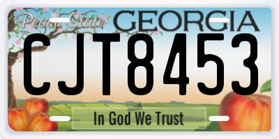 GA license plate CJT8453