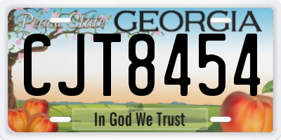 GA license plate CJT8454