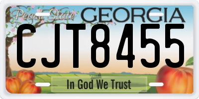 GA license plate CJT8455
