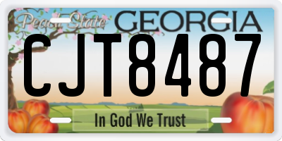 GA license plate CJT8487