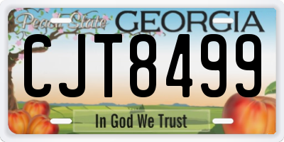 GA license plate CJT8499
