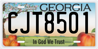 GA license plate CJT8501