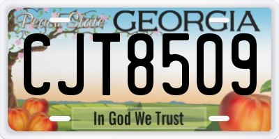 GA license plate CJT8509