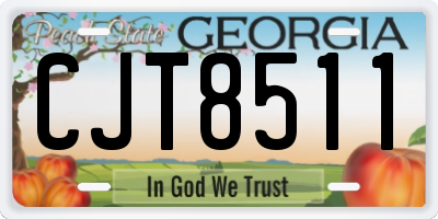GA license plate CJT8511