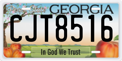GA license plate CJT8516