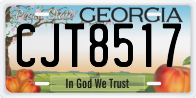 GA license plate CJT8517