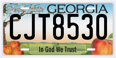 GA license plate CJT8530