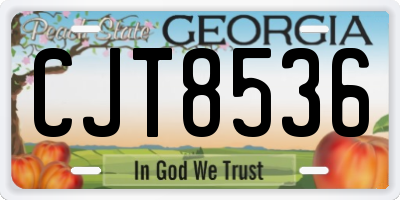 GA license plate CJT8536