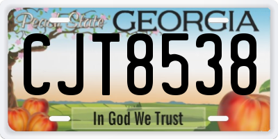 GA license plate CJT8538