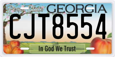 GA license plate CJT8554