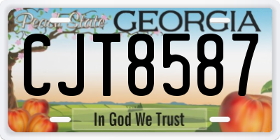 GA license plate CJT8587
