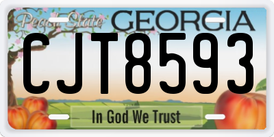 GA license plate CJT8593