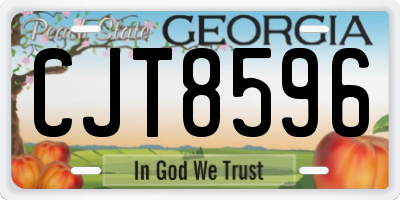 GA license plate CJT8596