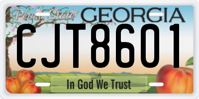 GA license plate CJT8601