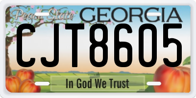 GA license plate CJT8605