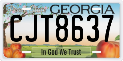 GA license plate CJT8637