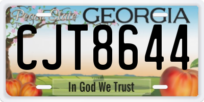 GA license plate CJT8644