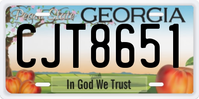 GA license plate CJT8651