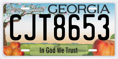 GA license plate CJT8653