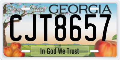 GA license plate CJT8657