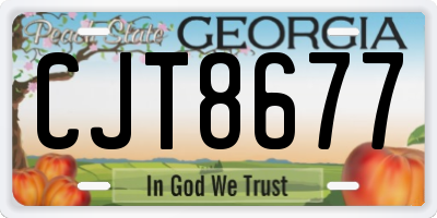 GA license plate CJT8677