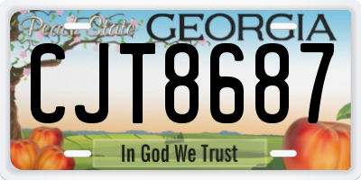GA license plate CJT8687