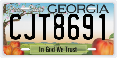 GA license plate CJT8691