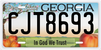 GA license plate CJT8693