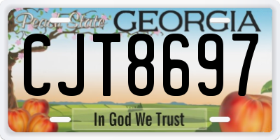GA license plate CJT8697