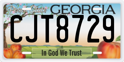 GA license plate CJT8729
