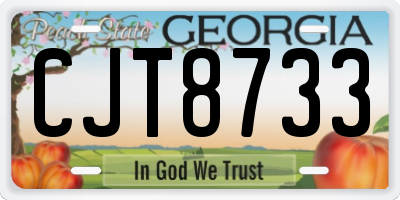 GA license plate CJT8733