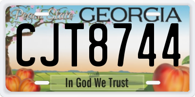 GA license plate CJT8744