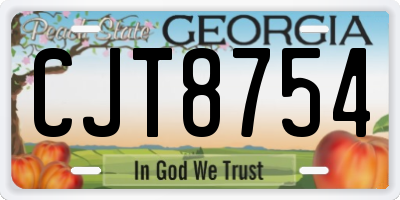 GA license plate CJT8754
