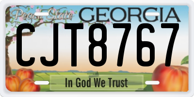 GA license plate CJT8767